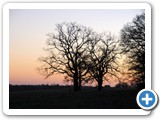 RussellSomers_DSC_6283